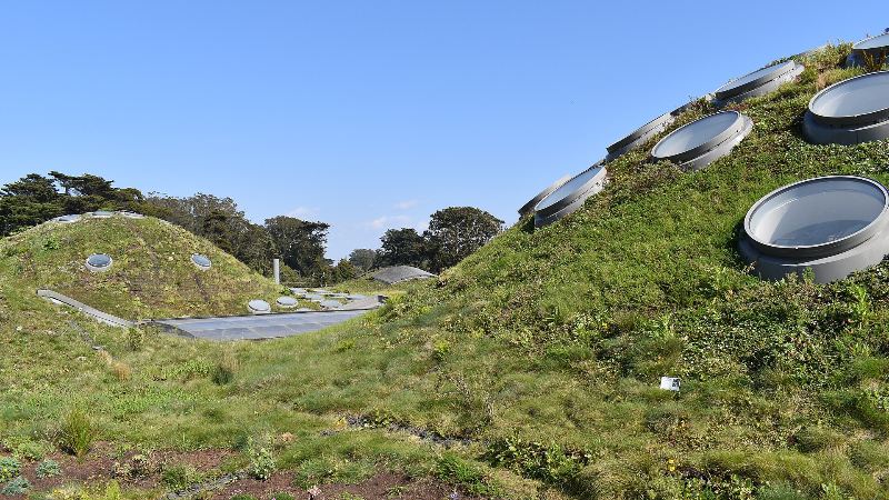 California Academy of Sciences, San Francisco